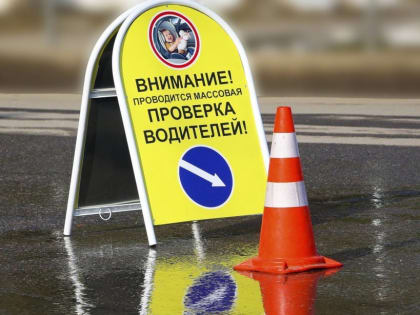 В Прокопьевске пройдёт сплошная проверка водителей