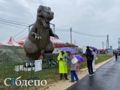 Участники кузбасского фестиваля «Динотерра» не испугались непогоды