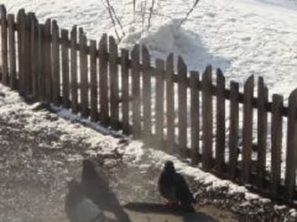 В Кузбассе в воскресенье возможно потепление до +3°С