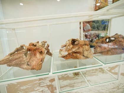 Шоу динозавров-роботов, рекорд России, научный симпозиум, профориентация выпускников: КуZбасс готовит вторую «Динотерру»