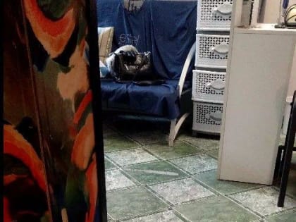 У новокузнечанина уши свернулись в трубочку от дамских бесед, услышанных в парикмахерской на Ильинке (ВИДЕО)