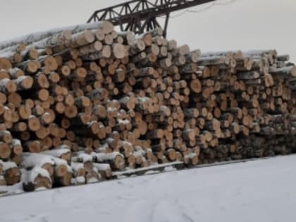 Вывоз  подкарантинной  продукции  с территории Кемеровской области – Кузбасса  на экспорт  за 2022 год