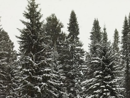 Прогноз погоды на территории Кузбасса на 03 января 2025 года