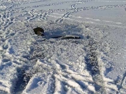 В Тамбове водитель за рулем «Киа Рио» пробил ограждение моста и упал в реку