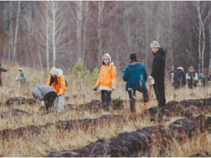 Кемерово – в числе лидеров программы ВЭБ.РФ «5 шагов для городов» по итогам 2022 года