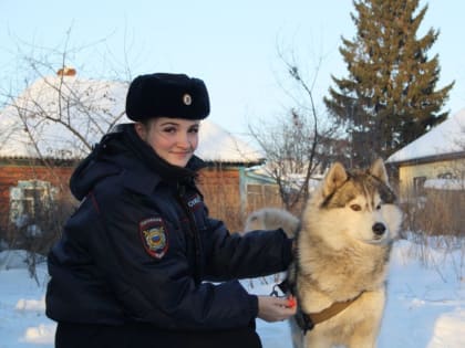 В Прокопьевске сотрудница полиции спасла хаски, которого чуть не загрызли сородичи (ВИДЕО)