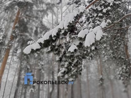 Неделя начнётся с потепления