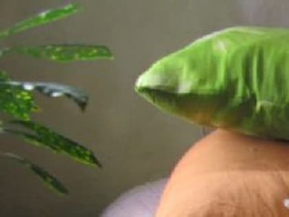 В селе под Новокузнецком трёхлетнюю девочку задушили подушкой