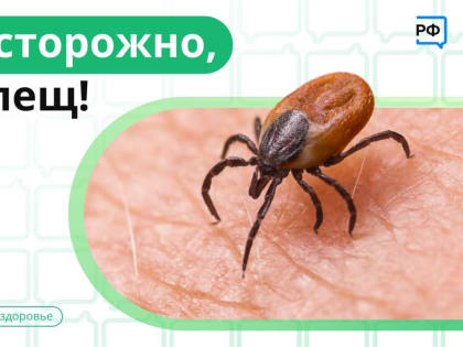Клещи проснулись!