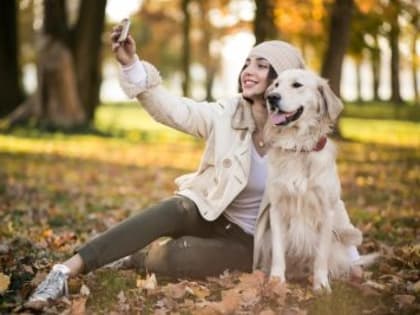 Кузбассовцам объяснили, как защитить домашних животных от опасного нечто