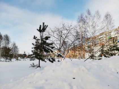 Синоптики предупреждают об усилении ветра, метелях и гололедице