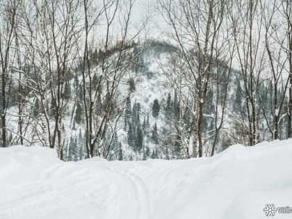 Ребенок впал в кому из-за снежной лавины на кузбасском руднике