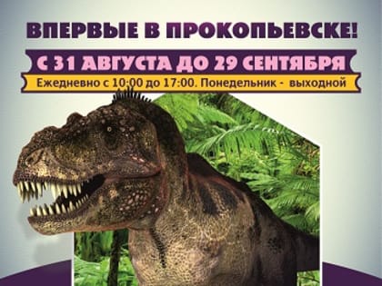 С 31 августа в Прокопьевском краеведческом музее начинает работу выставка «Голограмм»