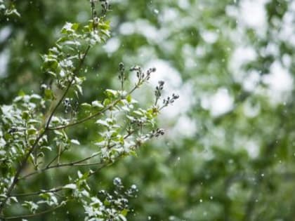 В Кузбасс на выходных придёт настоящее весеннее тепло