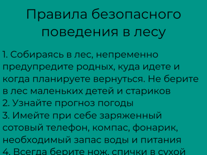Правила безопасности в лесу