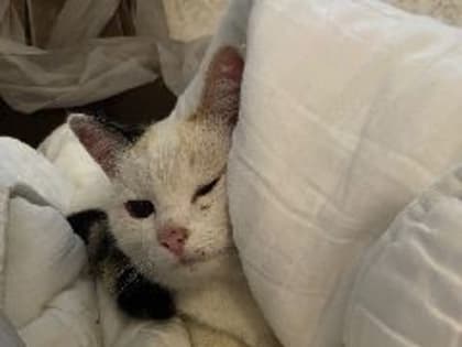 Новокузнечанин борется за тепло в своей квартире, но пока безуспешно