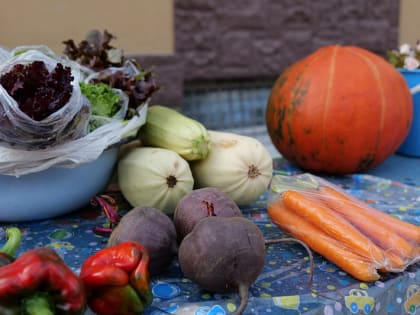 Кемеровчане могут реализовать излишки продукции, выращенной на приусадебных участках, в специально отведенных местах: