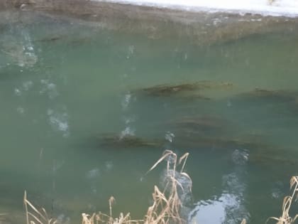 В Москве тело мужчины заметили в реке в районе храма Христа Спасителя