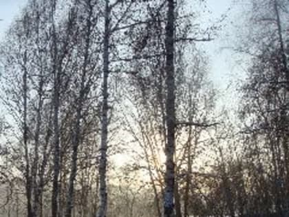 В понедельник в Кузбассе ожидаются сначала «плюс» и дождь, а потом резкое похолодание с усилением ветра