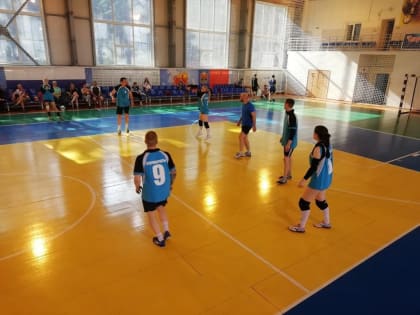 Соревнования по волейболу