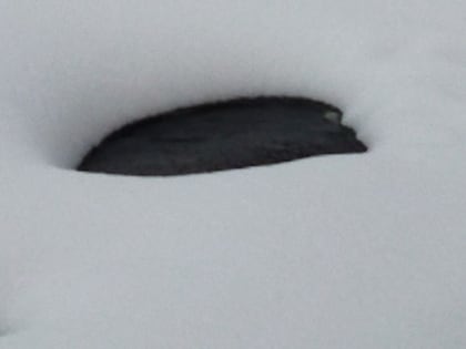 Трагедия на водохранилище: мужчина утонул в Челябинской области