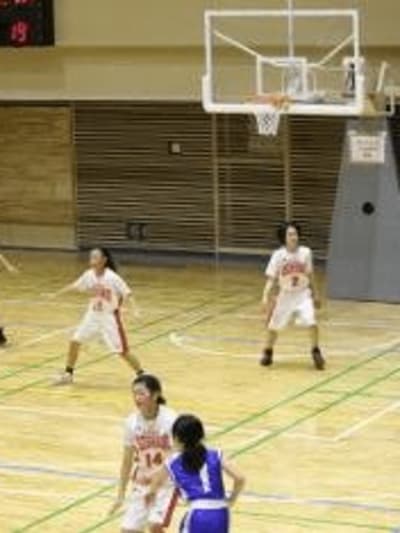 2017年度のアルバム