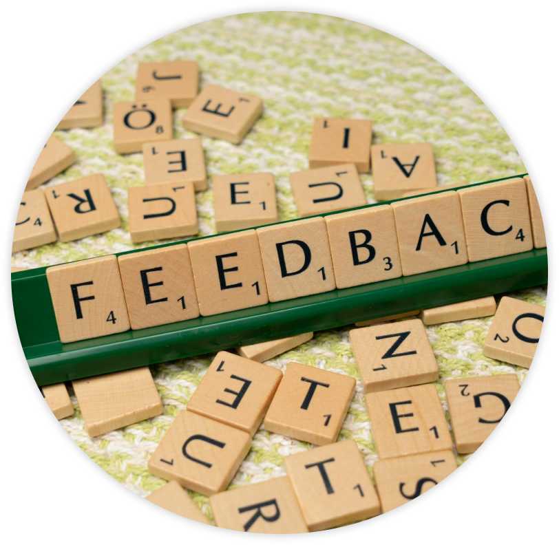 Customer Reviews and Feedback
