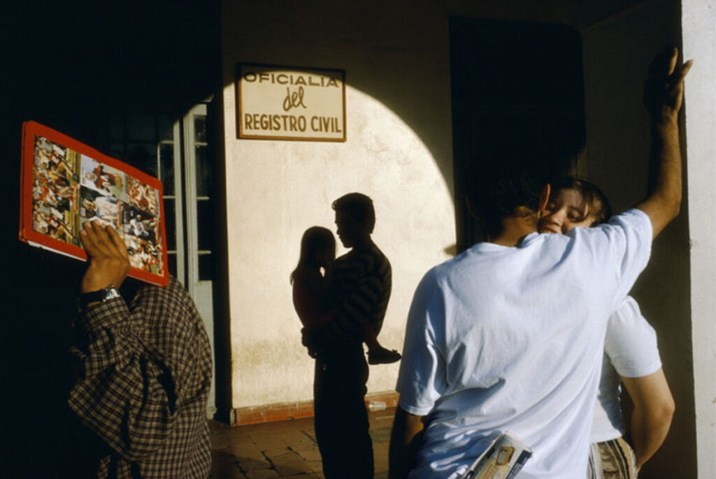 Photograph