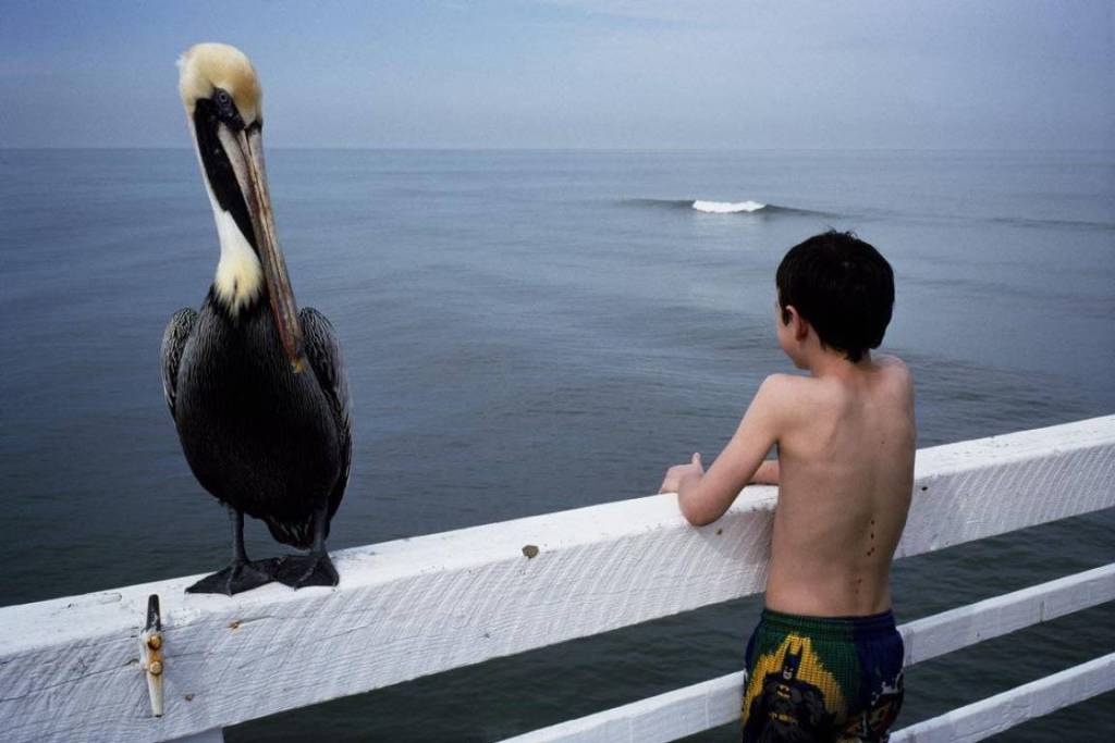 best street photographs