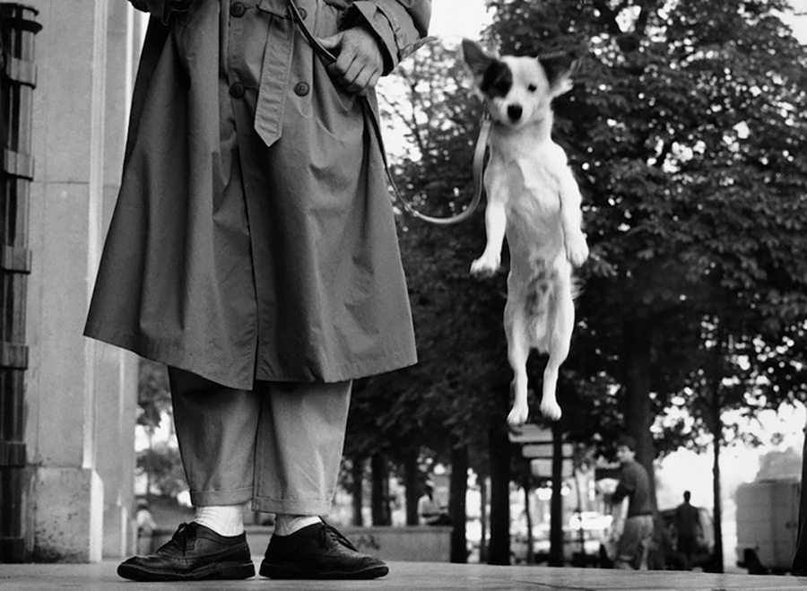best street photographs