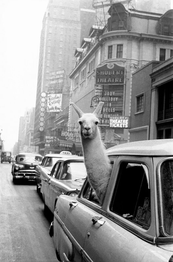 best street photographs