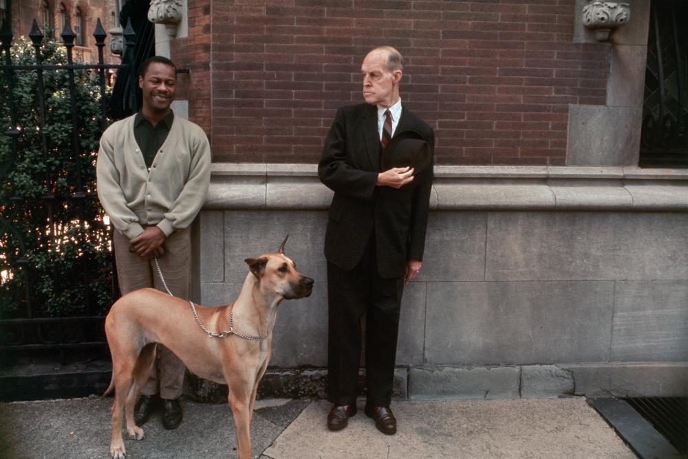 best street photographs