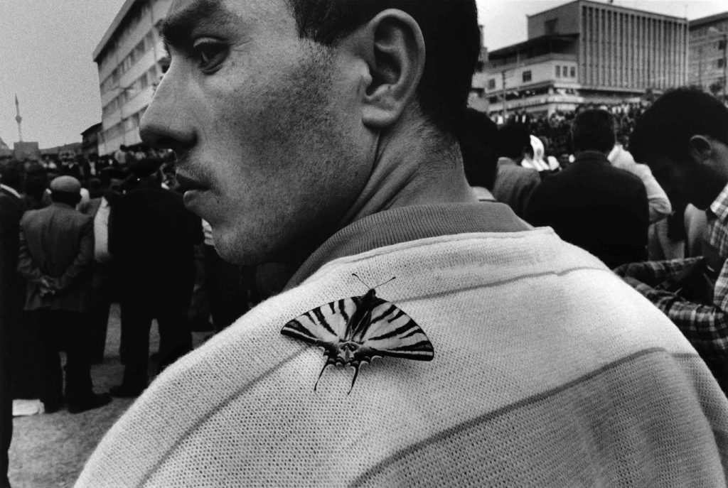 best street photographs ©