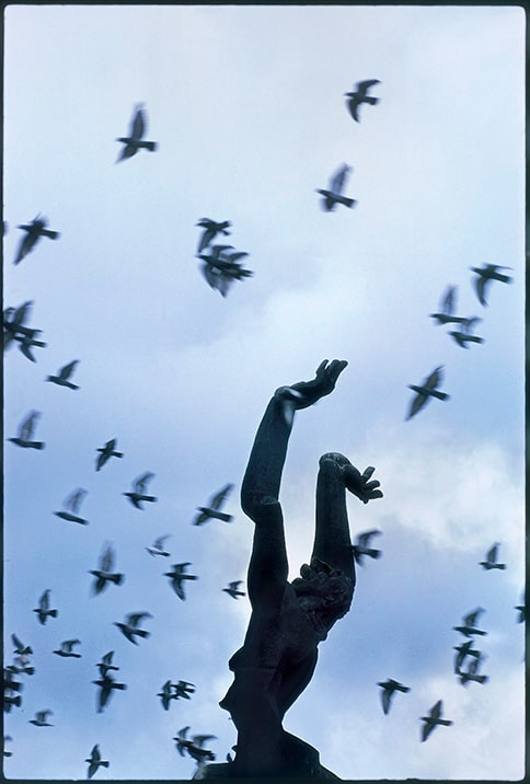 Rotterdam, 1968. © Elliott Erwitt/Magnum Photos/Courtesy of Edwynn Houk Gallery, New York and Zürich