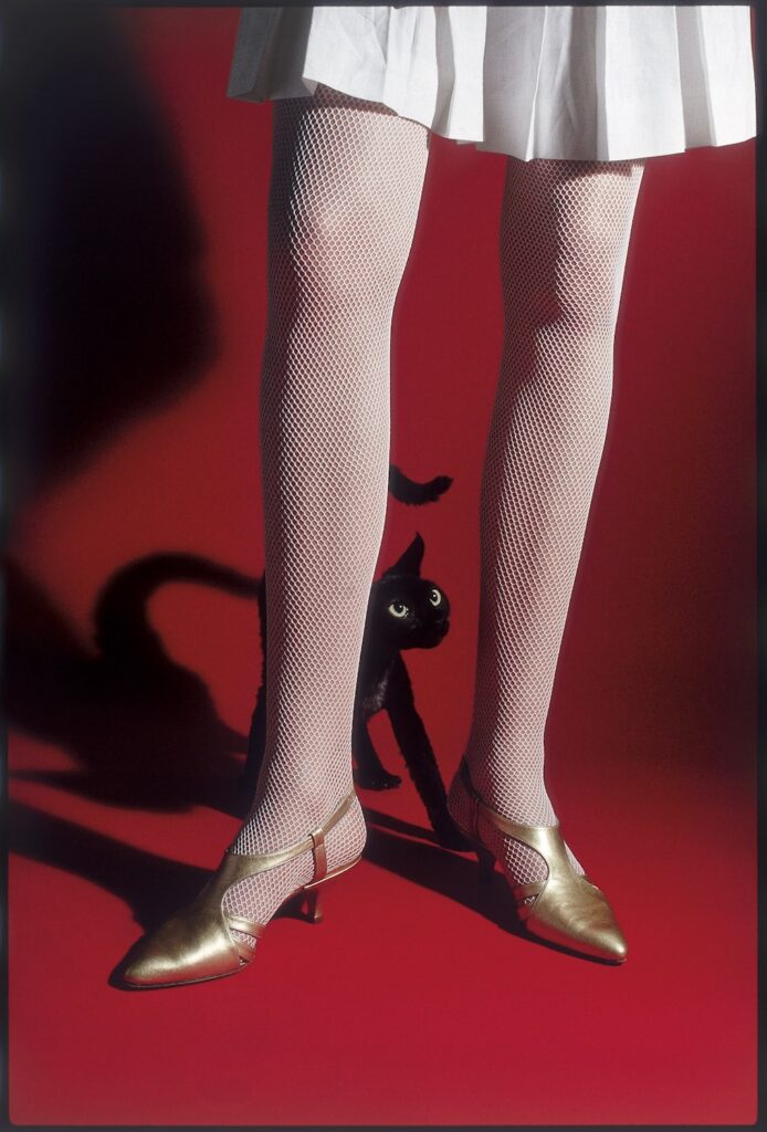 Elliott Erwitt USA, 1990 Archival pigment print © Elliott Erwitt. Courtesy of the artist and Edwynn Houk Gallery, New York and Zurich.