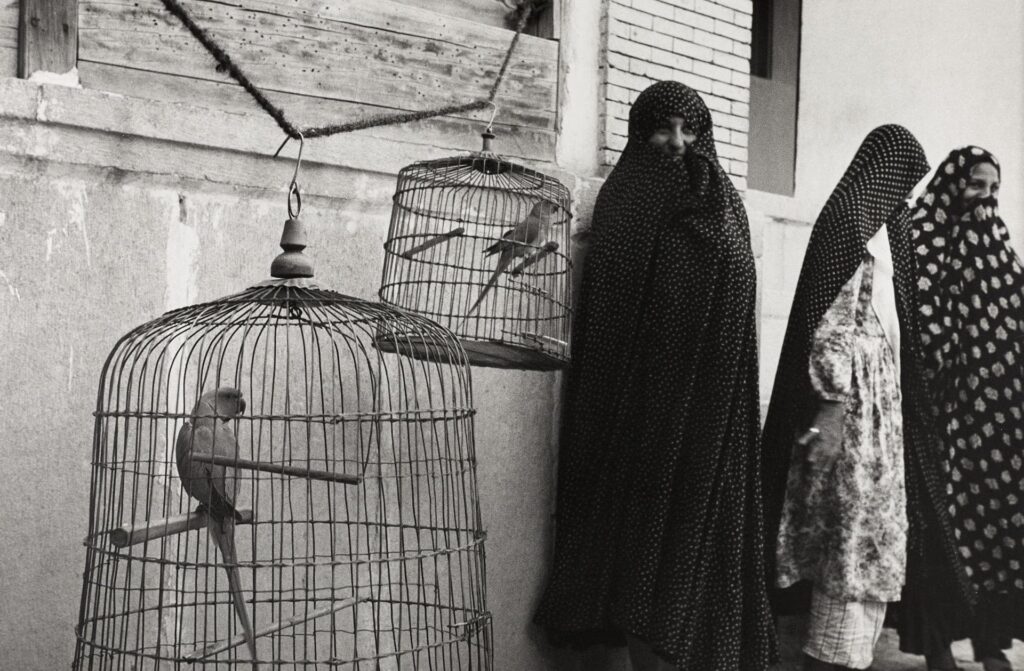 Photograph