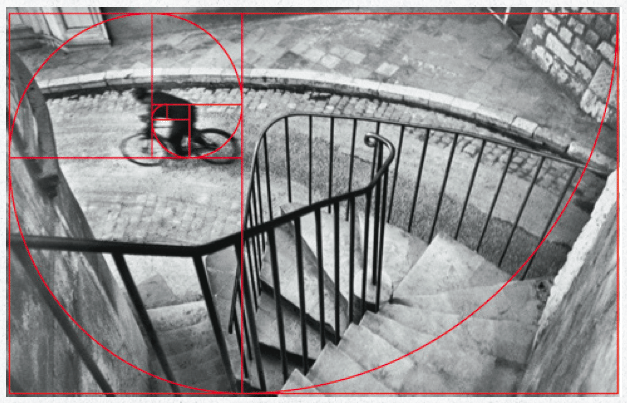 The famous bicycle shot by Henri Cartier-Bresson. Note how it perfectly fits the Fibonacci Sequence
