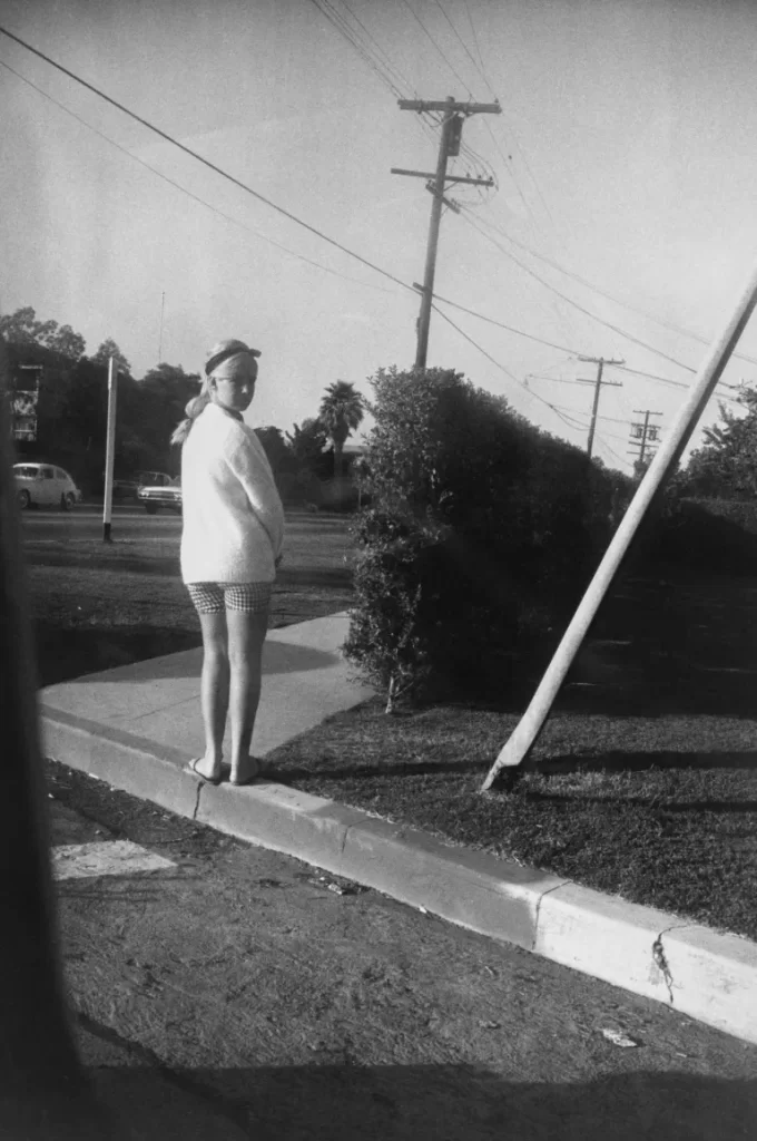 Photograph