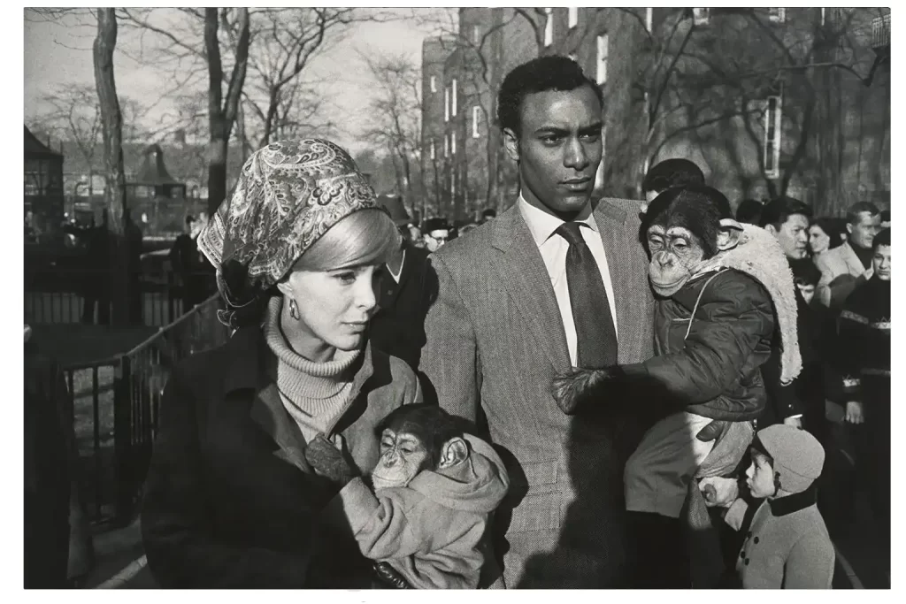 Photograph
