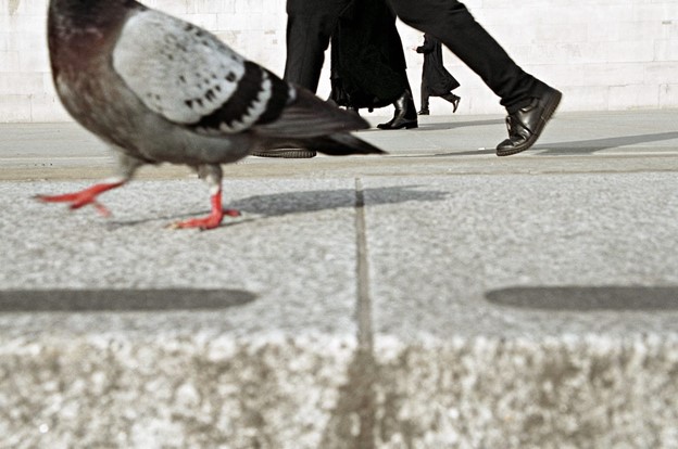 Trafalgar Square, 2015 ©Matt Stuart