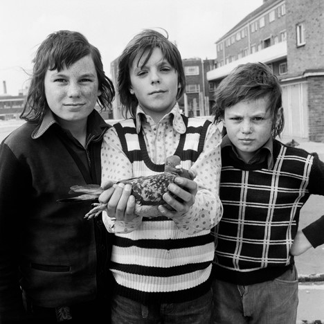 John Payne, aged 11, with pigeon Chequer and friends; left Michael White, right Kalvin White, brothers, Portsmouth. Friday 26 April 1974 ©Daniel Meadows