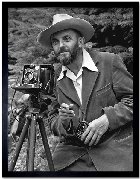 Photograph