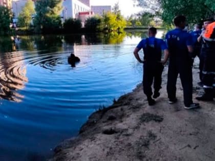 За прошедшие выходные дни на территории Владимирской области утонули еще трое мужчин