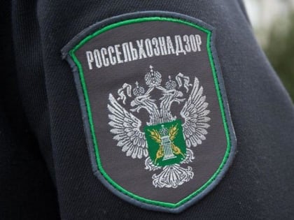 Более 12 тысяч кубометров фанеры экспортировано в Китай из Владимирской области