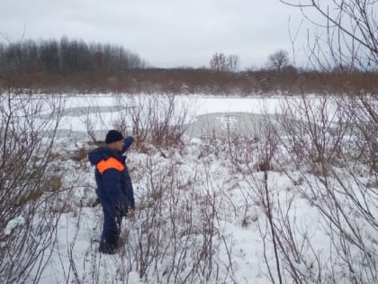 В Вязниках сотрудники МЧС спасли провалившуюся под лед женщину