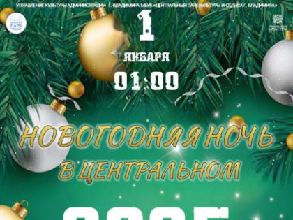 Новогодняя ночь в Центральном — 2025