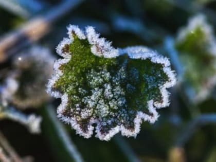 Владимирцам рассказали, ожидается ли этим летом повторение арктического вторжения