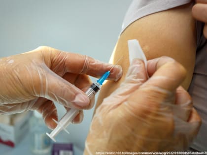 Во Владимирскую область поступило более 270 тысяч доз вакцины от гриппа. Региональный  Минздрав призывает жителей сделать прививки