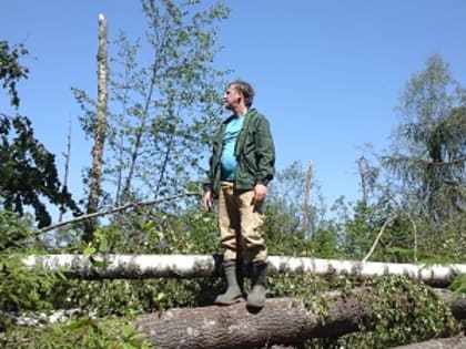 ЦЗЛ Владимирской области подводит итоги работы по ЛПО