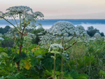 Активность требуется и от населения